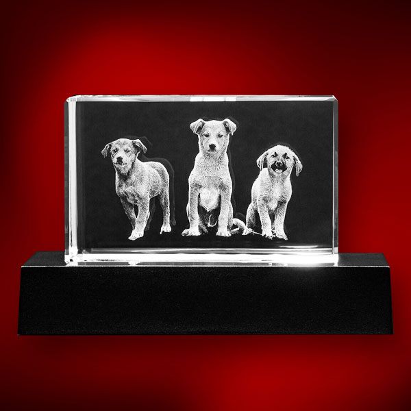 3D Crystal Rectangle Wide on Lit Black Base - 3 Dogs