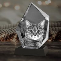 Iceberg 3D Crystal on Black Base - Cat