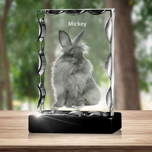 Rectangle Tall Notched 3D Crystal on Black Base - Bunny - Mickey