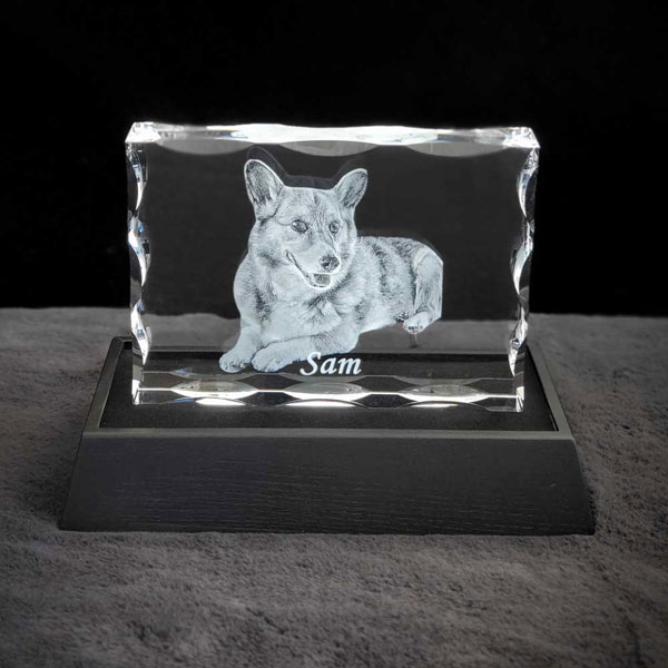 Rectangle Wide Notched 3D Crystal on Lit Black Base – Dog - Sam