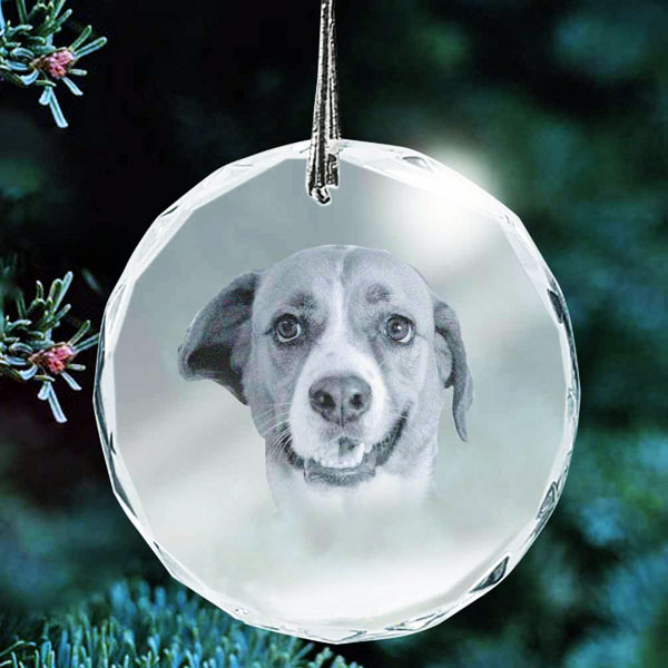 Ornament 2D Crystal - Dog