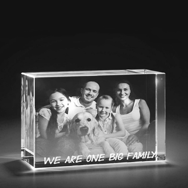 Rectangle Wide 3D Crystal - We Are One Big Family