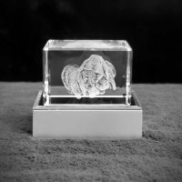Rectangle Wide 3D Crystal on Silver Rectangle Base - bunny
