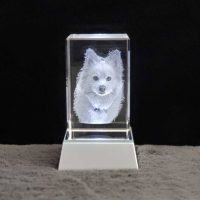 Rectangle Tall 3D Crystal on Lit Silver Square Base - Dog