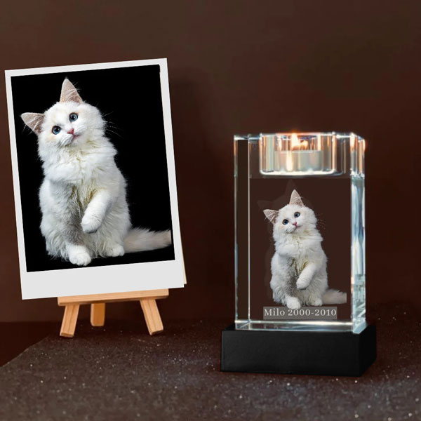 Single Candle 3D Crystal – Cat - Milo 2000 - 2010